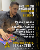 Mentoria de Consultoria financiera
